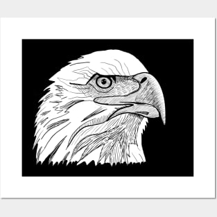 Eagle Posters and Art